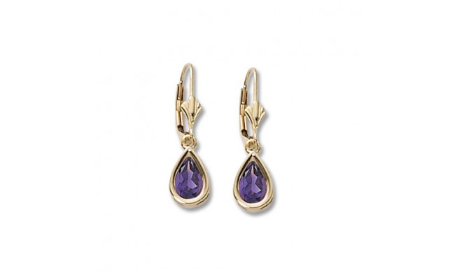 14K Yellow Gold 8X5 Amethyst Earrings