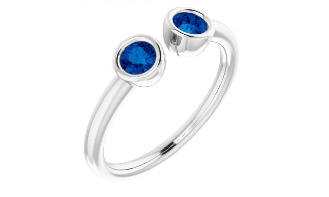 14K White Blue Sapphire Two-Stone Ring