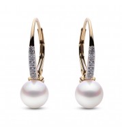 Imperial Pearl 14K Yellow Gold Akoya Pearl Earring