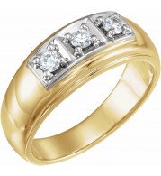 14K Yellow & White 1/3 CTW Diamond Ring