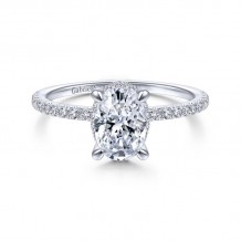 Gabriel & Co. 14k White Gold Contemporary Halo Engagement Ring