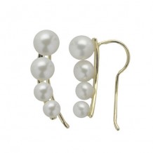 Imperial Pearl 14k Yellow Gold Freshwater Pearl Earring