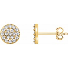14K Yellow 1/3 CTW Diamond Cluster Earrings