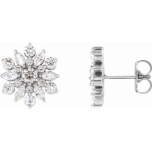 14K White 1 CTW Diamond Earrings