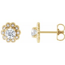 14K Yellow 5/8 CTW Diamond Halo-Style Earrings