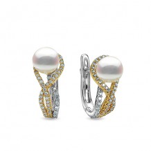 Imperial Pearl 14k Two Tone Gold Akoya Pearl Earring