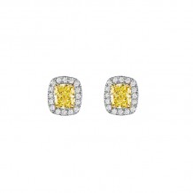 Henri Daussi Yellow Platinum Diamond Stud Earrings