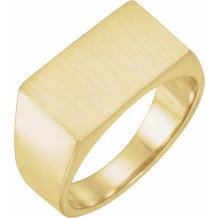 14K Yellow 15x9 mm Rectangle Signet Ring