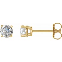 14K Yellow 1/2 CTW Diamond Earrings