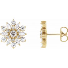 14K Yellow 1 CTW Diamond Earrings