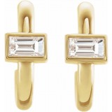 14K Yellow 1/5 CTW Diamond J-Hoop Earrings photo 2