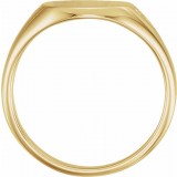 14K Yellow .05 CTW Diamond 10.87x10.26 mm Oval Signet Ring photo 2