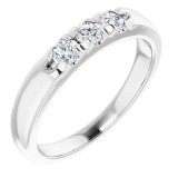 14K White 1/3 CTW Diamond French-Set Anniversary Band photo