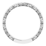 14K White 1/4 CTW Diamond Anniversary Band photo 2