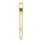14K Yellow .09 CTW Diamond French-Set Anniversary Band photo 4