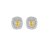 Henri Daussi Yellow Platinum Diamond Stud Earrings photo