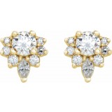 14K Yellow 1/2 CTW Diamond Earrings photo 2