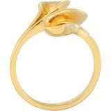 14K Yellow Freeform Ring photo 2