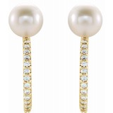 14K Yellow Freshwater Cultured Pearl & 1/6 CTW Diamond Hoop Earrings photo 2