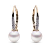 Imperial Pearl 14K Yellow Gold Akoya Pearl Earring photo