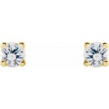 14K Yellow 1 CTW Diamond Earrings photo 2