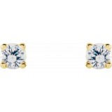 14K Yellow 1 CTW Diamond Earrings photo 2