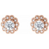 14K Rose 5/8 CTW Diamond Halo-Style Earrings photo 2