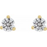 14K Yellow 1/5 CTW Diamond Earrings photo 2