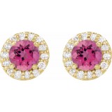 14K Yellow 4.5 mm Round Pink Tourmaline & 1/4 Diamond Earrings photo 2