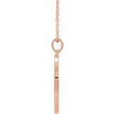 14K Rose 20.3x18.4 mm Ichthus (Fish) 16-18 Necklace photo 2