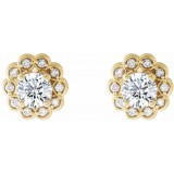 14K Yellow 5/8 CTW Diamond Halo-Style Earrings photo 2