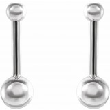 Platinum Bar & Ball Earrings photo 2