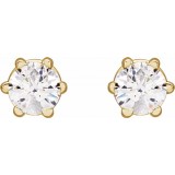 14K Yellow 3 mm I1 1/5 CTW Diamond 6-Prong Wire Basket Earrings photo 2