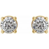 14K Yellow 1/3 CTW Diamond Earrings photo 2