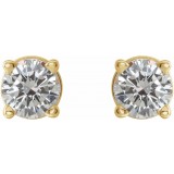 14K Yellow 1/3 CTW Diamond Earrings photo 2