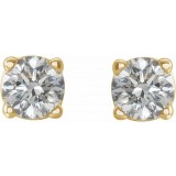 14K Yellow 1/5 CTW Diamond Earrings photo 2