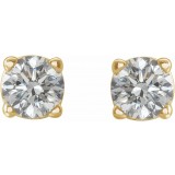14K Yellow 1/5 CTW Diamond Earrings photo 2