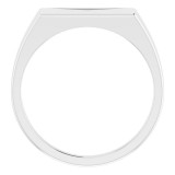 14K White 15x7 mm Rectangle Signet Ring photo 2