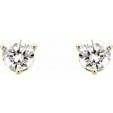 14K Yellow 1 1/2 CTW Diamond Earrings photo 2