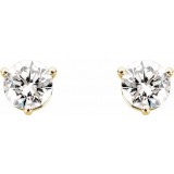 14K Yellow 1 1/2 CTW Diamond Earrings photo 2