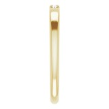 14K Yellow .06 CTW Diamond French-Set Anniversary Band photo 4