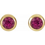 14K Yellow 4 mm Round Genuine Pink Tourmaline Birthstone Earrings photo 2