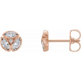 14K Rose 1/2 CTW Diamond Earrings photo