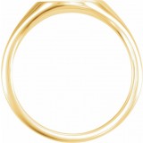 14K Yellow .02 CTW Diamond 11x10 Oval Starburst Signet Ring photo 2