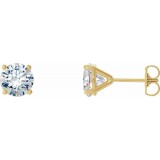 14K Yellow 1 CTW Diamond 4-Prong Cocktail-Style Earrings photo