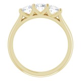 14K Yellow 3/4 CTW Diamond Anniversary Band photo 2