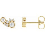 14K Yellow 1/4 CTW Diamond Scattered Bezel-Set Earrings photo