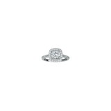 14k White 0.50ct Diamond Double Halo Semi Mount Engagement Ring photo