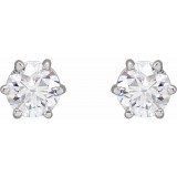 14K White 4.5 mm I3 3/4 CTW Diamond 6-Prong Wire Basket Earrings photo 2