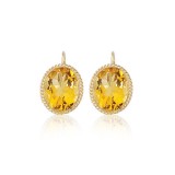 14K Yellow Gold & 10X8 Garnet Earrings photo 2